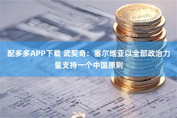 配多多APP下载 武契奇：塞尔维亚以全部政治力量支持一个中国原则