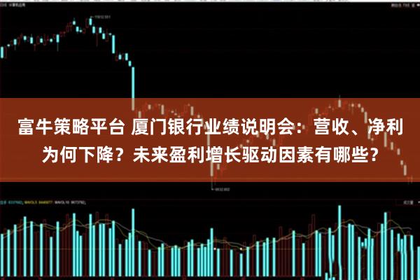 富牛策略平台 厦门银行业绩说明会：营收、净利为何下降？未来盈利增长驱动因素有哪些？
